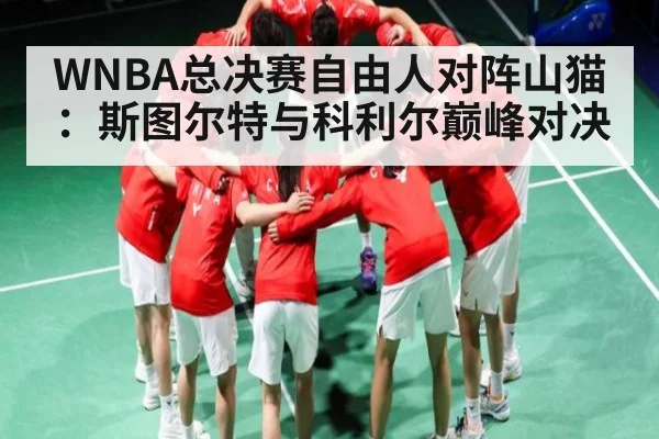 WNBA总决赛自由人对阵山猫：斯图尔特与科利尔巅峰对决